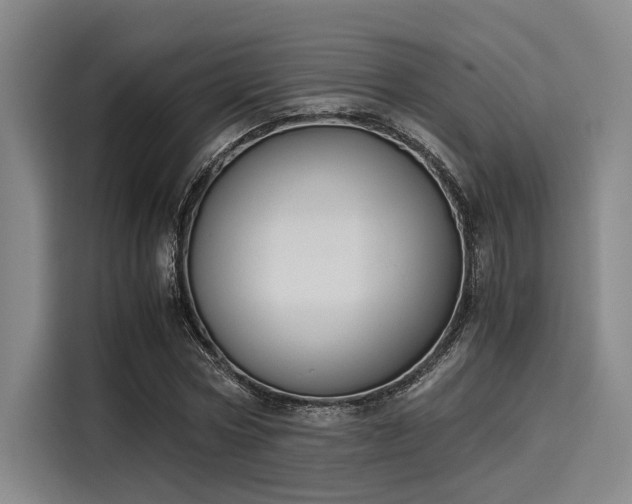 X0000116050778200911271217