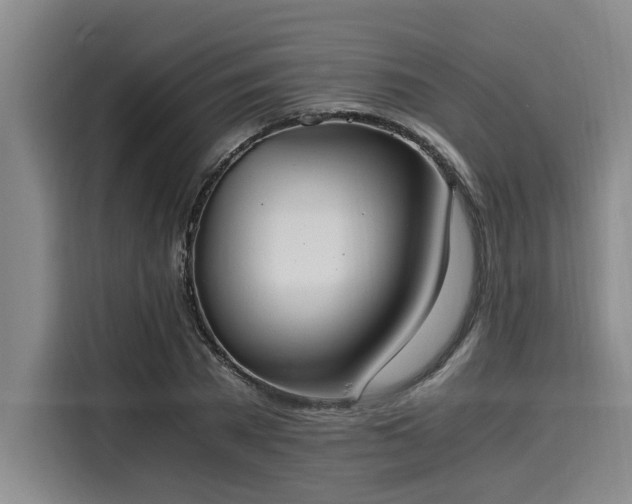 X0000116050785200911271217