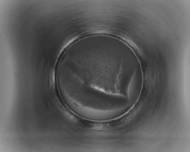 X0000116050790200911271217