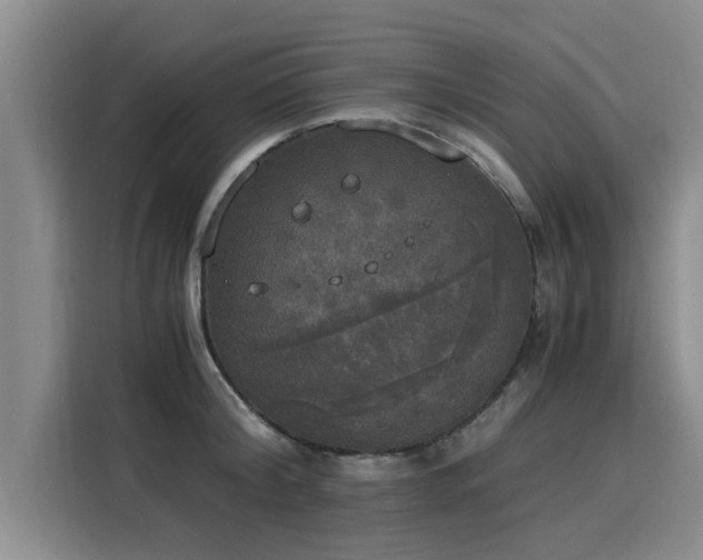X0000116050804200911271217
