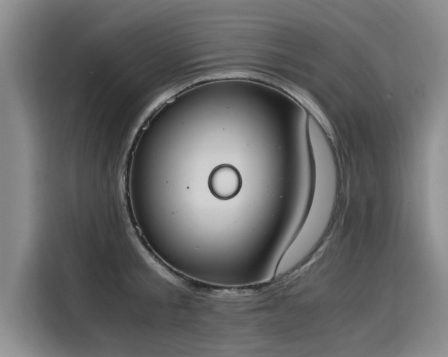 X0000116050805200911271217