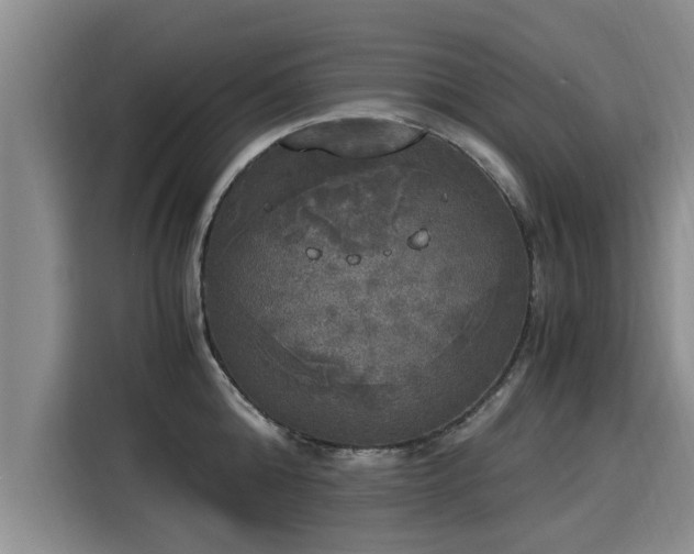 X0000116050808200911271217