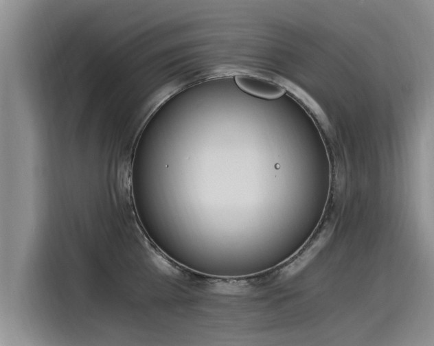 X0000116050809200911271217