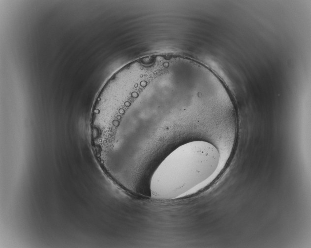 X0000116050810200911271217
