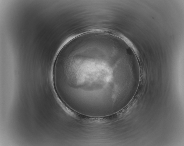 X0000116050811200911271217
