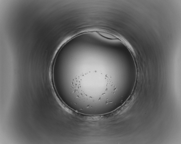 X0000116050813200911271217