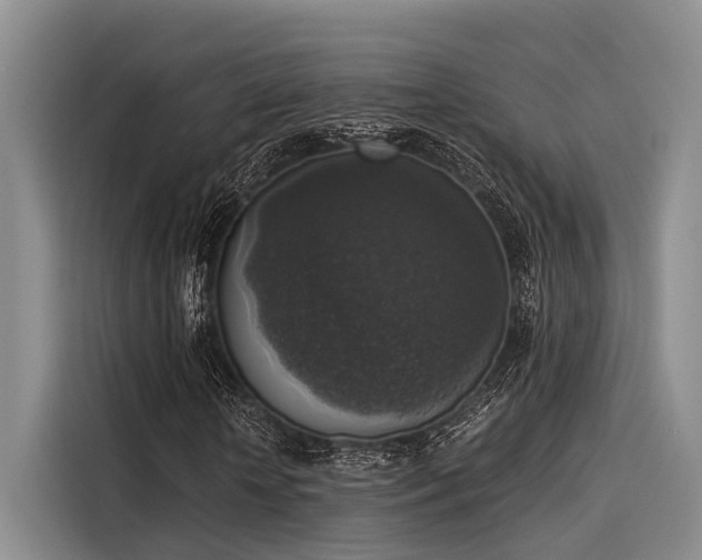 X0000116050818200911271216