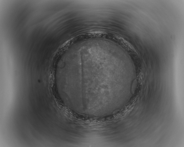 X0000116050821200911271216