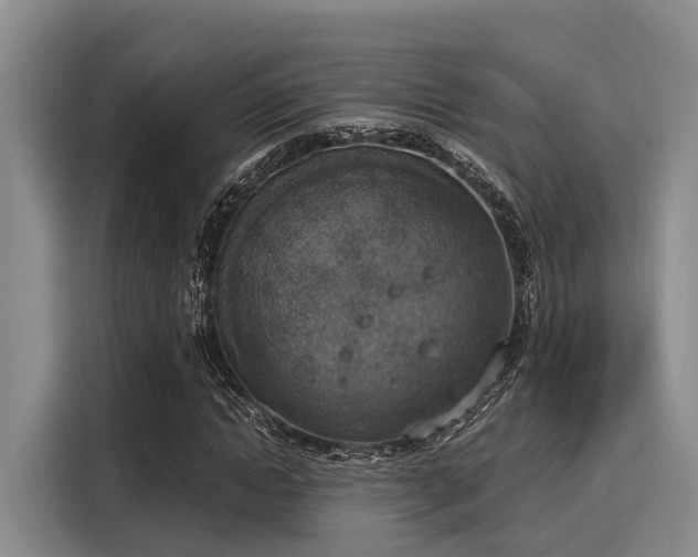 X0000116050822200911271216