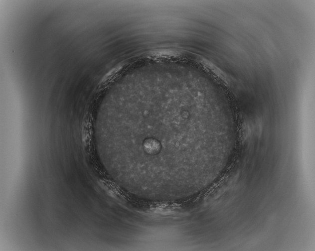 X0000116050824200911271216