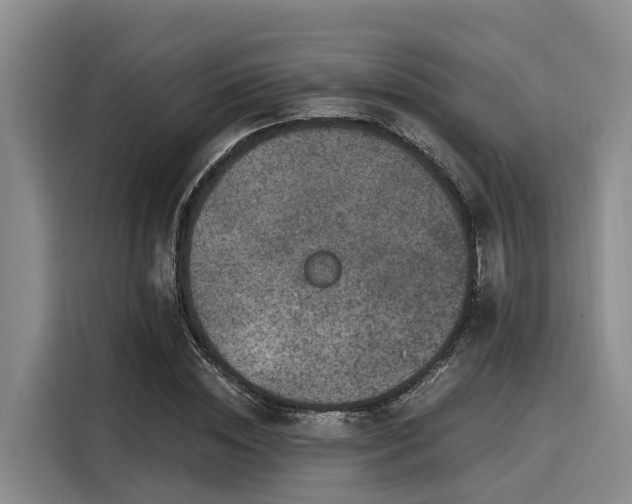 X0000116050828200911271216