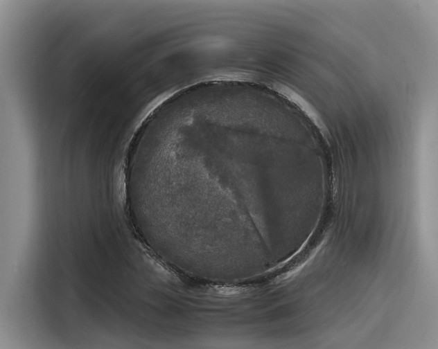 X0000116050829200911271216
