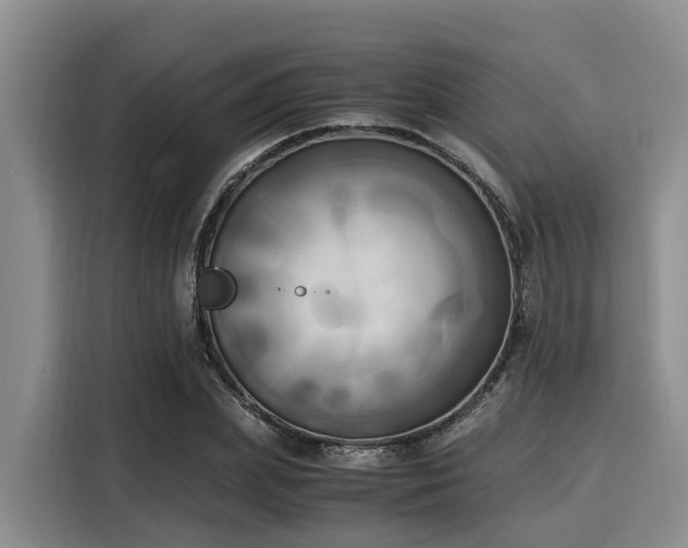 X0000116050831200911271216