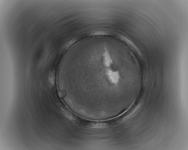 X0000116050833200911271216