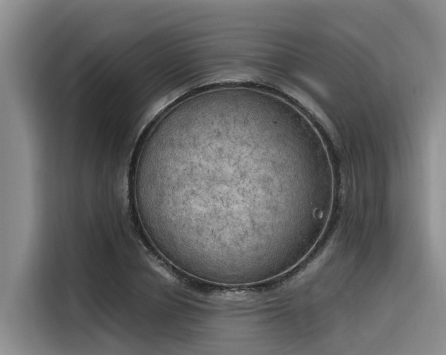 X0000116050834200911271216
