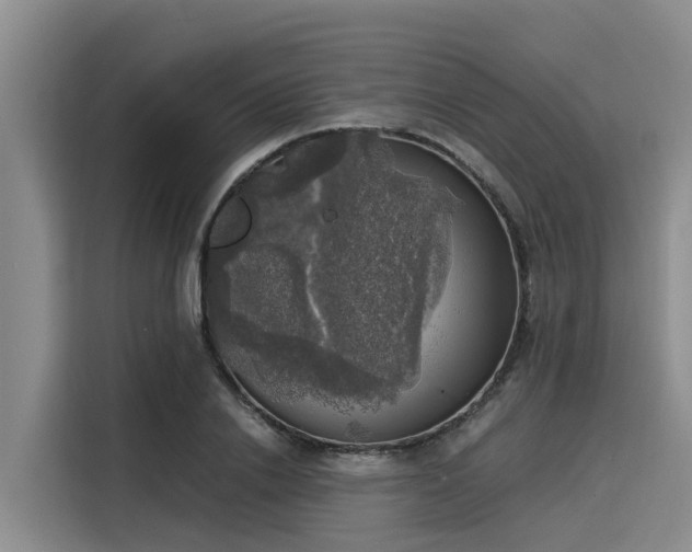 X0000116050838200911271216