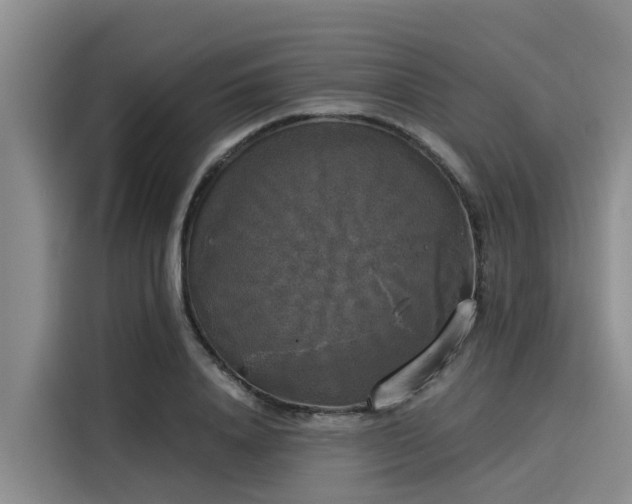 X0000116050840200911271216