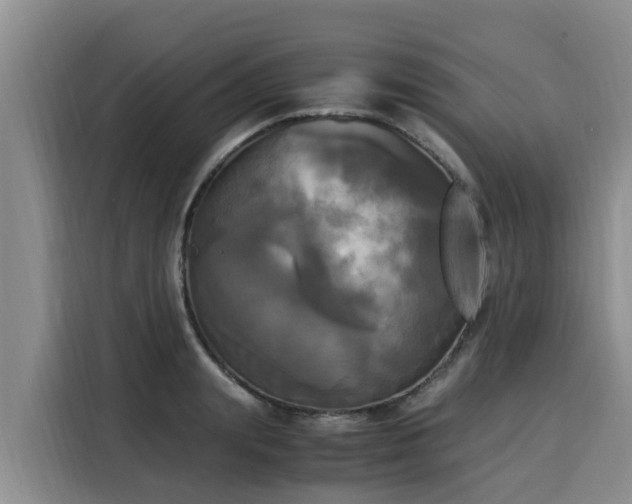X0000116050847200911271216