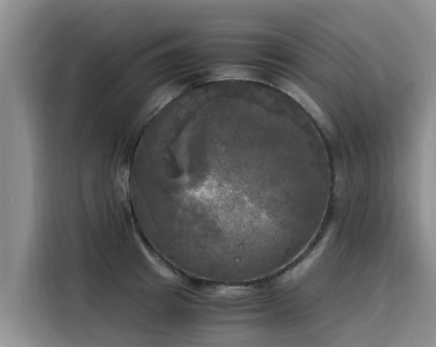 X0000116050849200911271216