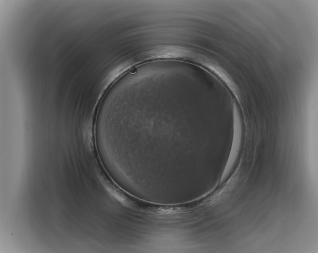 X0000116050850200911271216
