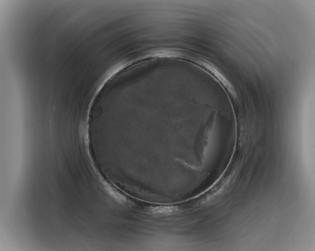 X0000116050853200911271216