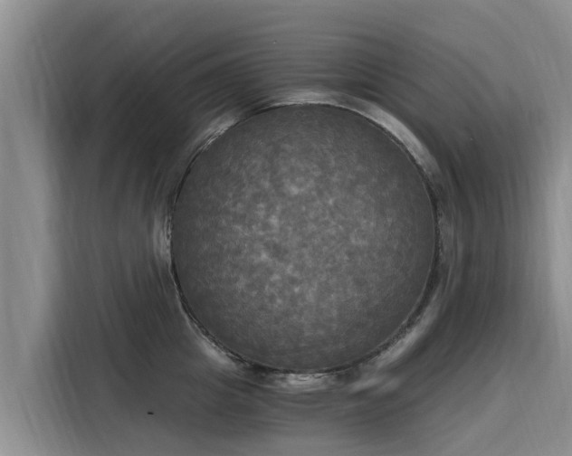 X0000116050857200911271217