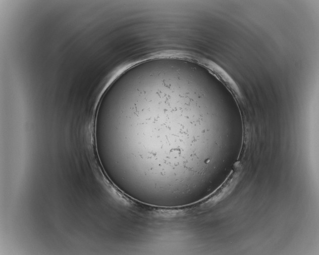 X0000116050860200911271217