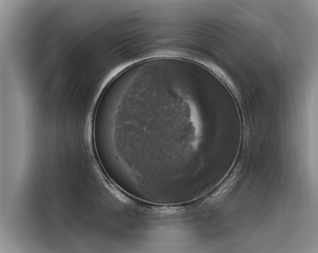 X0000116050862200911271217