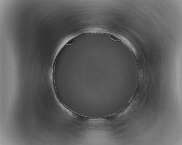 X0000116050863200911271217