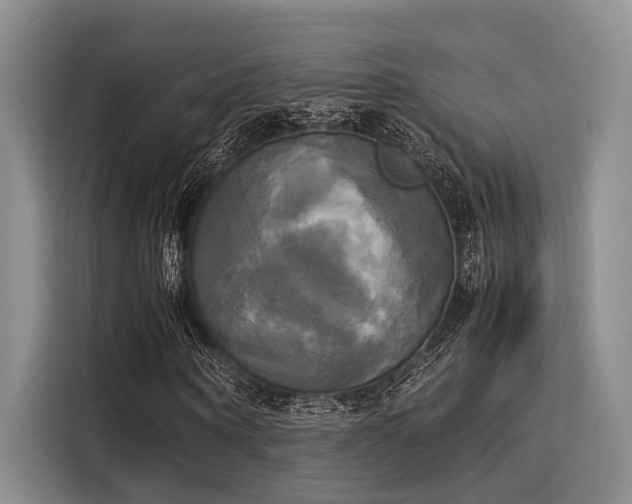 X0000116050866200911271216