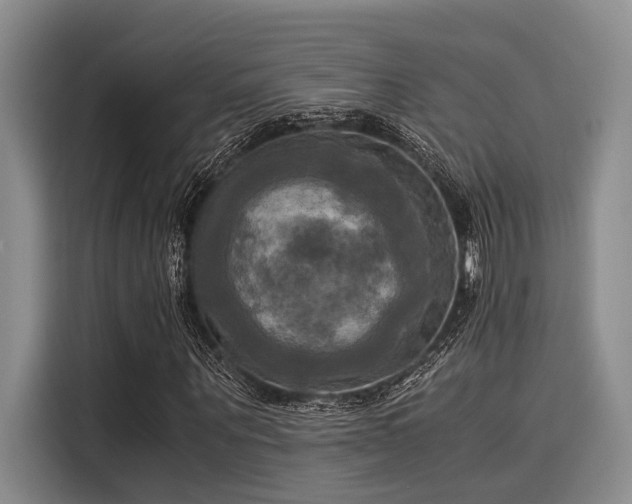 X0000116050867200911271216