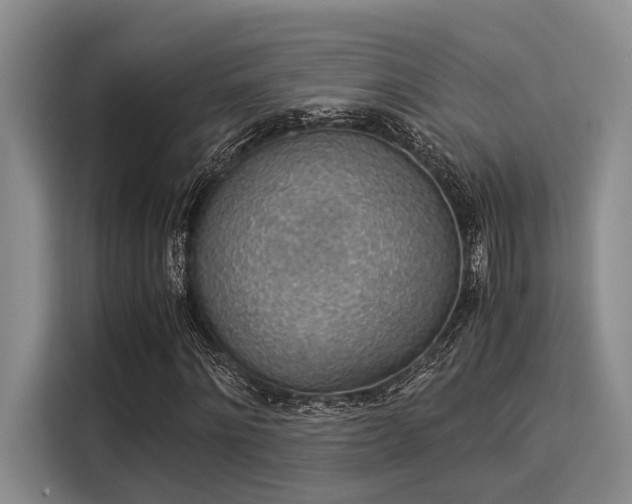 X0000116050868200911271216