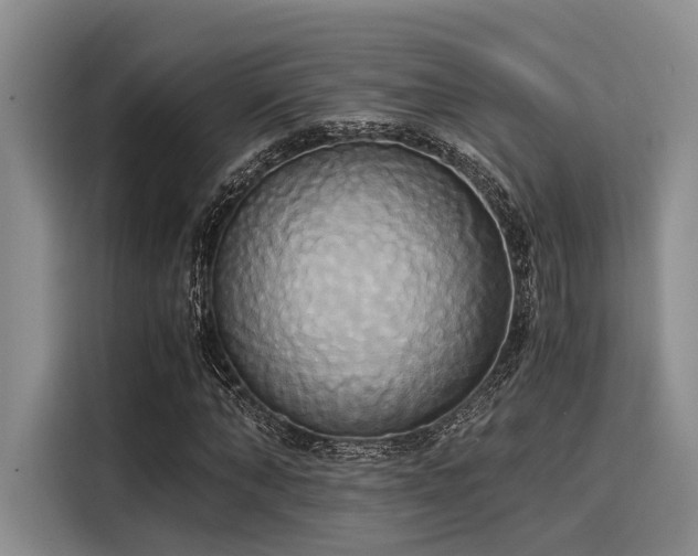 X0000116050870200911271216