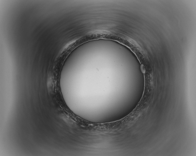 X0000116050872200911271216