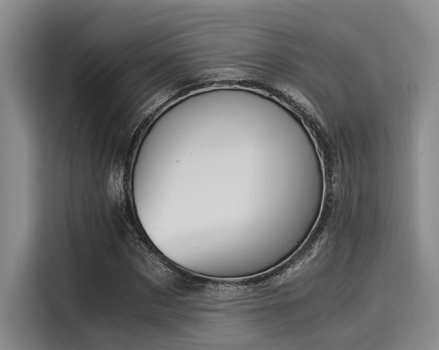 X0000116050873200911271216