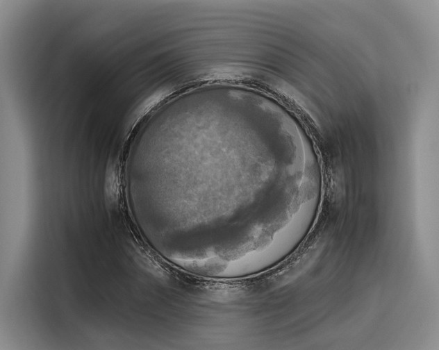 X0000116050874200911271216