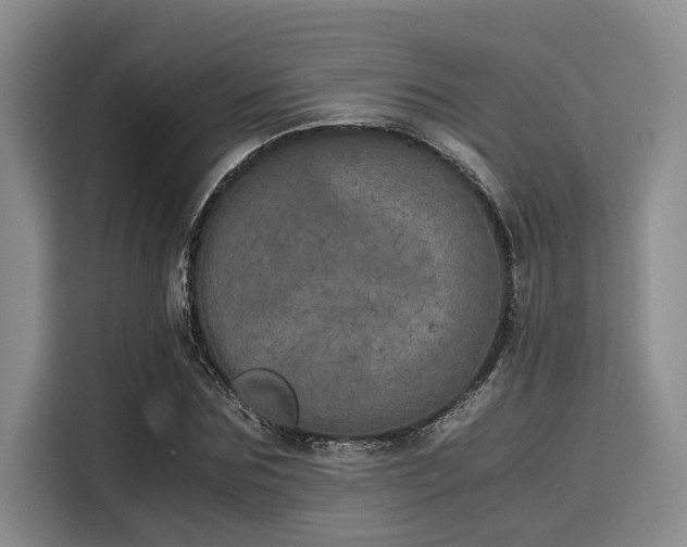 X0000116050875200911271216