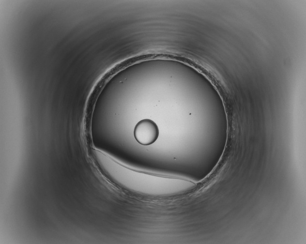 X0000116050880200911271216