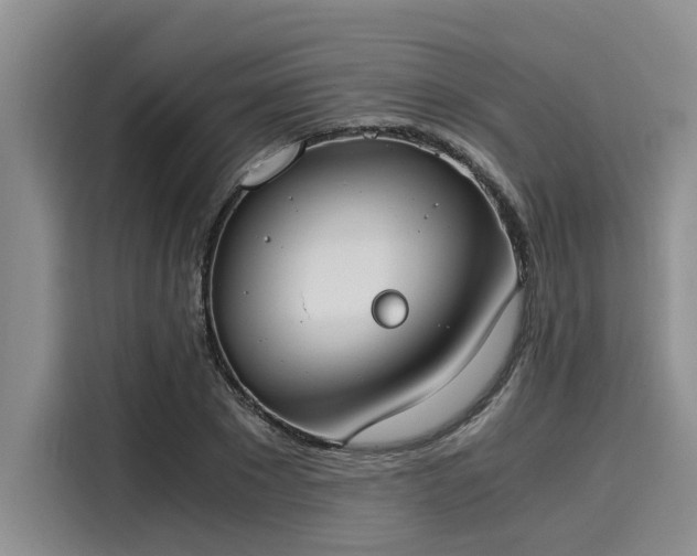 X0000116050881200911271216