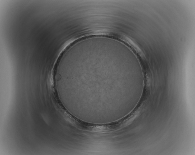 X0000116050883200911271216