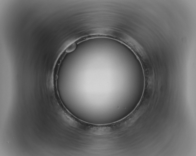X0000116050884200911271216