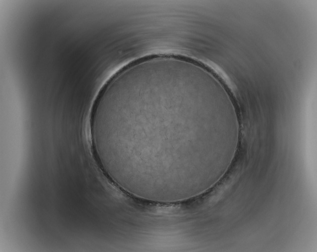 X0000116050887200911271216