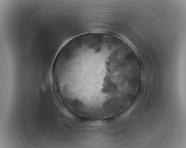 X0000116050891200911271216