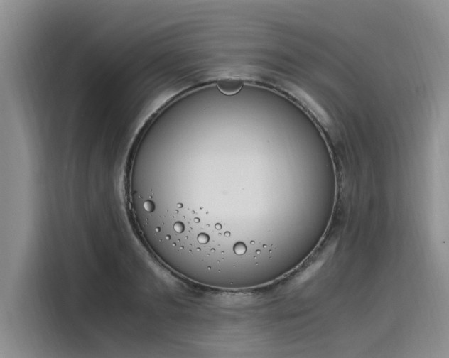X0000116050893200911271216