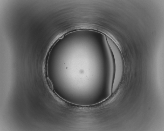 X0000116050901200911271216