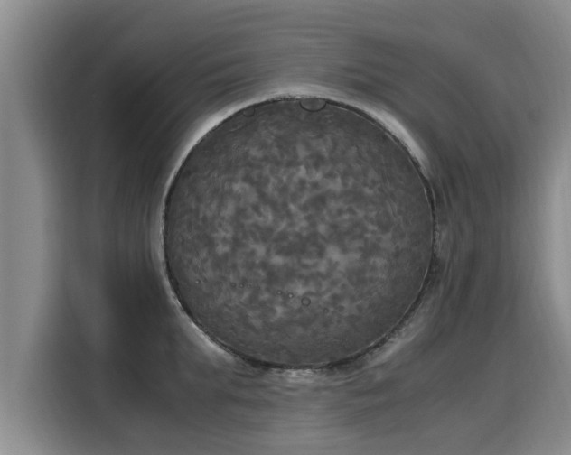 X0000116050903200911271216
