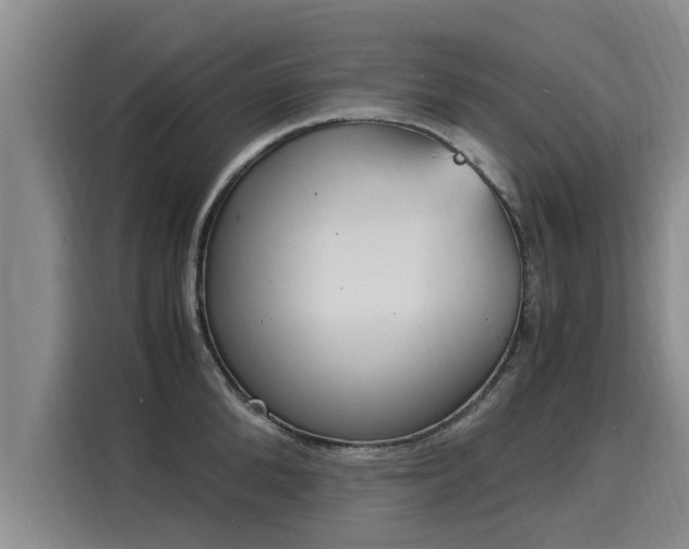X0000116050904200911271215