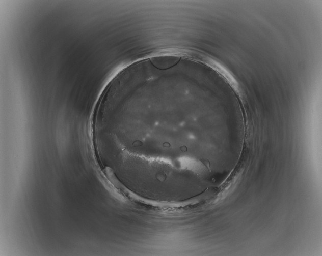 X0000116050907200911271215
