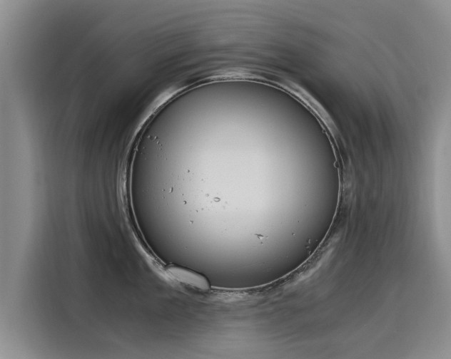 X0000116050909200911271215