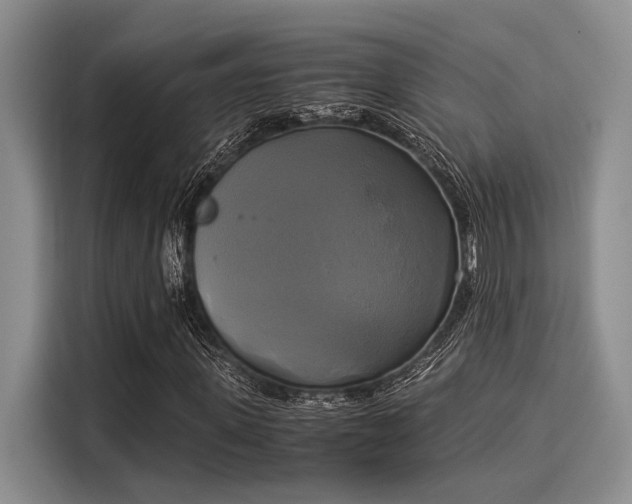 X0000116050915200911271215